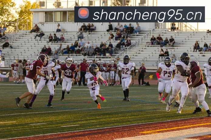 九游网页版入口网址服务体系